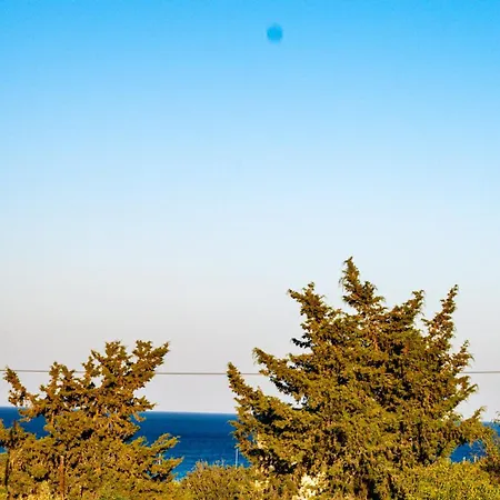 Willa Traditional Aura